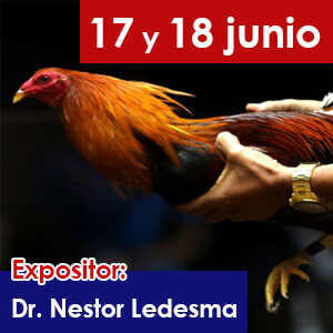 charla-1-gallos-educaciongc