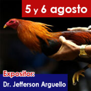 charla-8-gallos-educaciongc