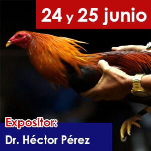 charla-2-gallos-educaciongc