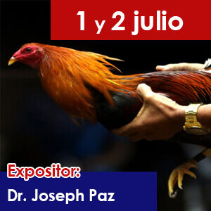 Charla 3. INTEGRIDAD DIGESTIVA 360°