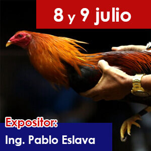Charla 4. ¿NUTRICIÓN O SIMPLE ALIMENTACIÓN EN AVES DE COMBATE?