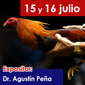 charla-5-gallos-educaciongc