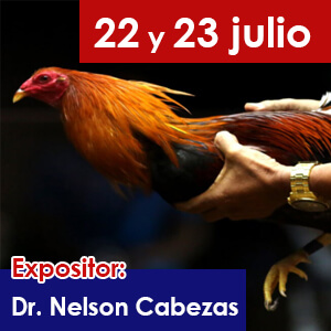 charla-6-gallos-educaciongc