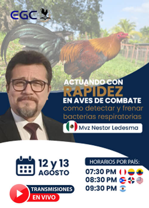 miniatura del curso