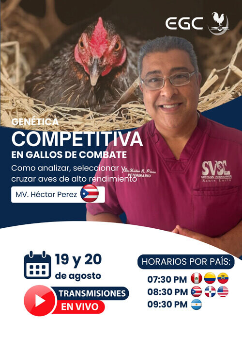 miniatura del curso