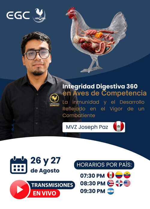 miniatura del curso