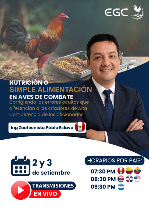 miniatura del curso
