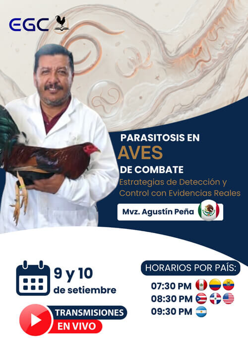 miniatura del curso