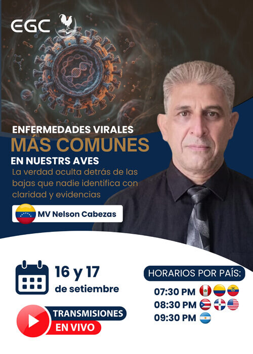 miniatura del curso