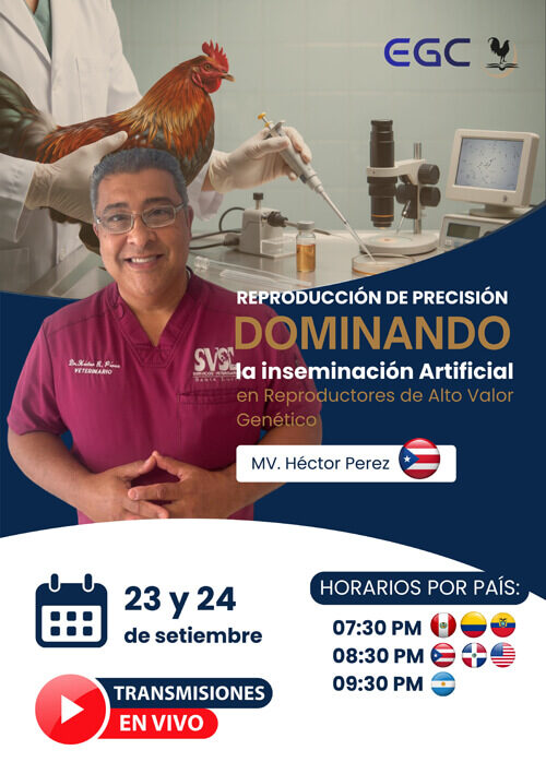miniatura del curso