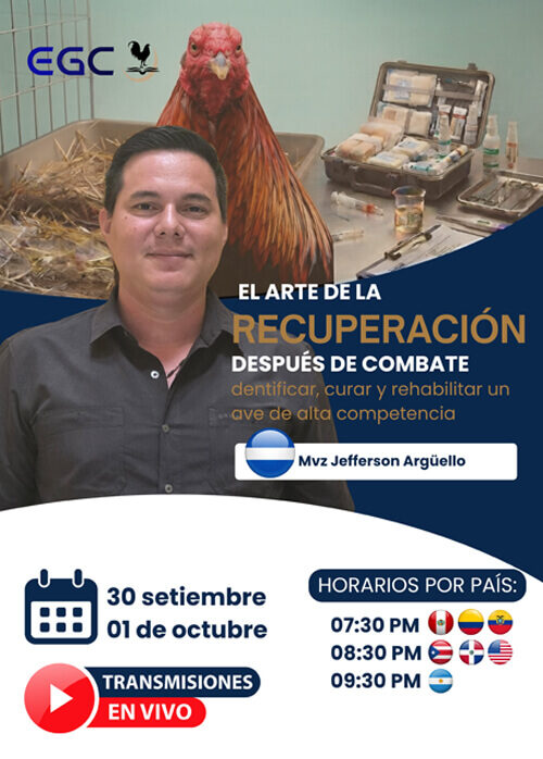 miniatura del curso